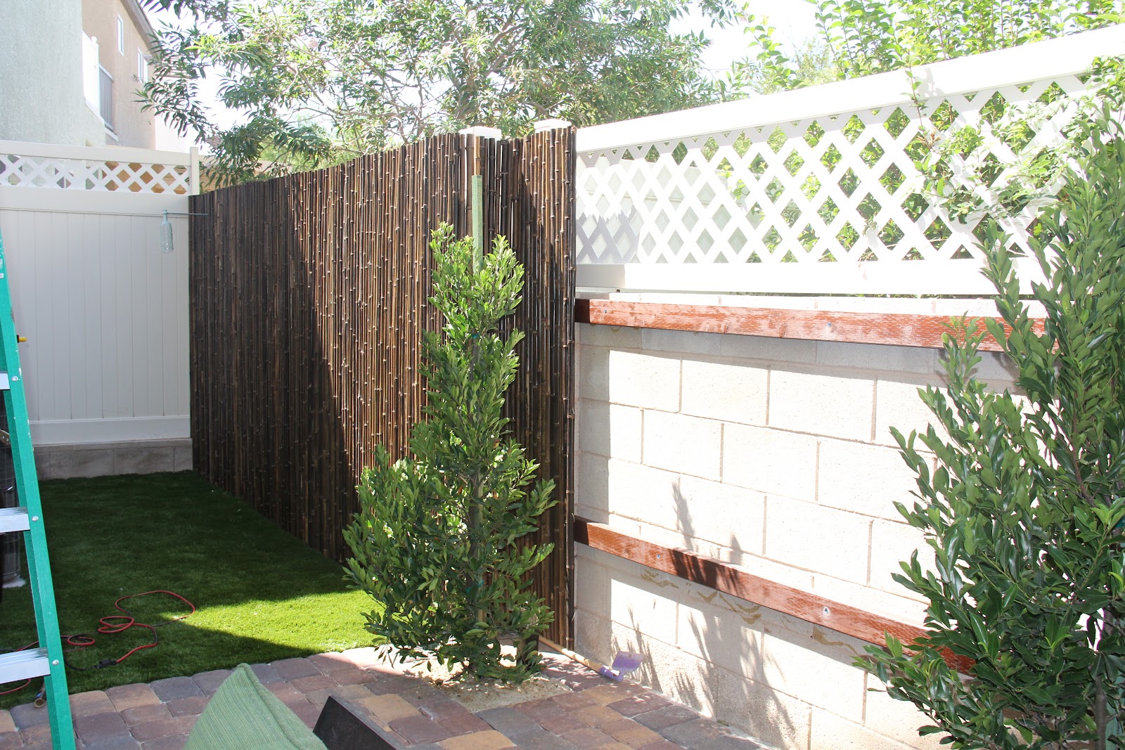 our back yard project