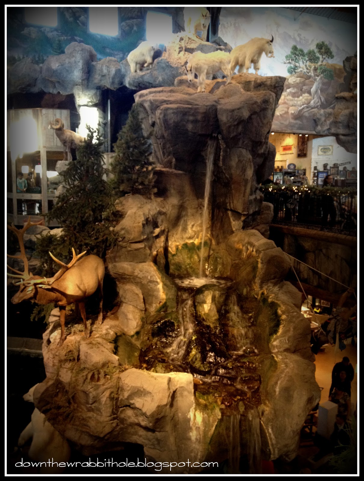 Backyard Bucket List A Hunter's Haven in Calgary, Alberta