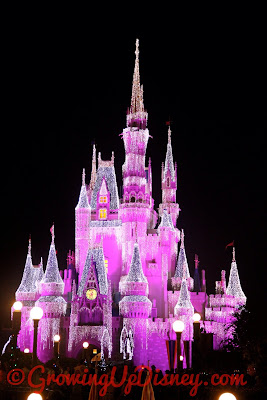 Cinderella Castle Dream Lights