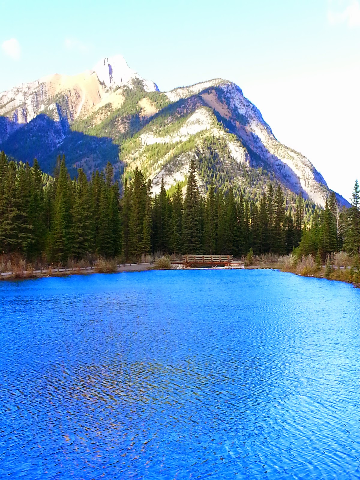 Hay Meadow and Mount Lorette Ponds, Kananaskis Play Outside Guide