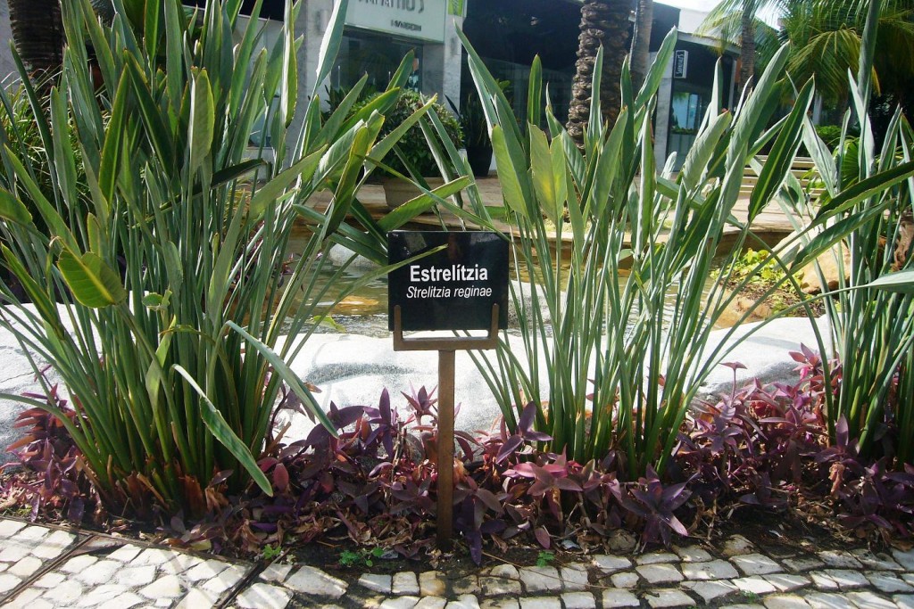 plantas jardim nomes:Enviar por e-mail BlogThis! Compartilhar no Twitter Compartilhar no plantas jardim nomes:Enviar por e-mail BlogThis! Compartilhar no Twitter Compartilhar no