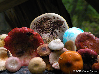 Mycophile Moon Shrine with plastic-fork-doodled Artist Conk. 