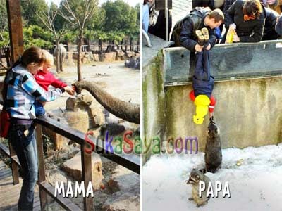 Foto Lucu - Beginilah Cara Mendidik Anak Antara Versi Mama Dan Papa Foto Lucu - Beginilah Cara Mendidik Anak Antara Versi Mama Dan Papa