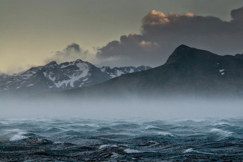 Vieregg Text Redaktion Lektorat Sv Verlag