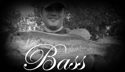 Bass