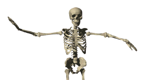 Because Journey Has No Antonym.