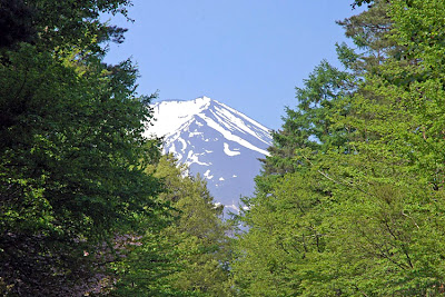 Cảnh Đẹp 4 Mùa ở Núi Phú Sĩ Nui+phu+si+mua+xuan+3