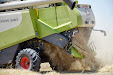 Harvesting barley 2013 with Claas Lexion