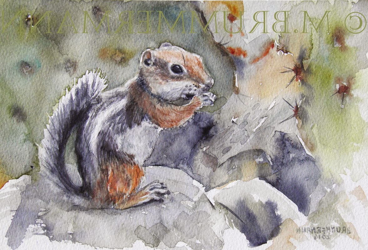 Margarethe Brummermann Watercolors Arizona Critters