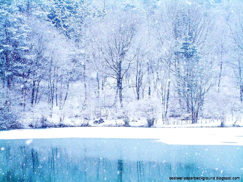 White Winter Wonderland Scenes White Winter Wonderland Scenes
