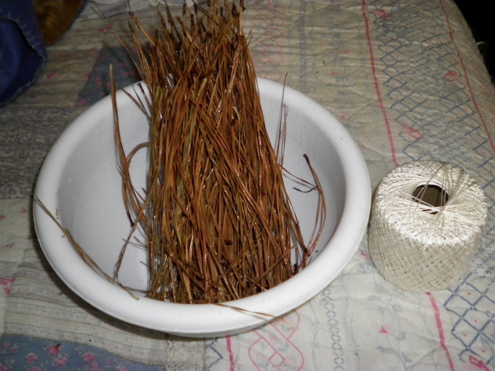 Simply Self Sufficiency Pine needle Basket Part 1