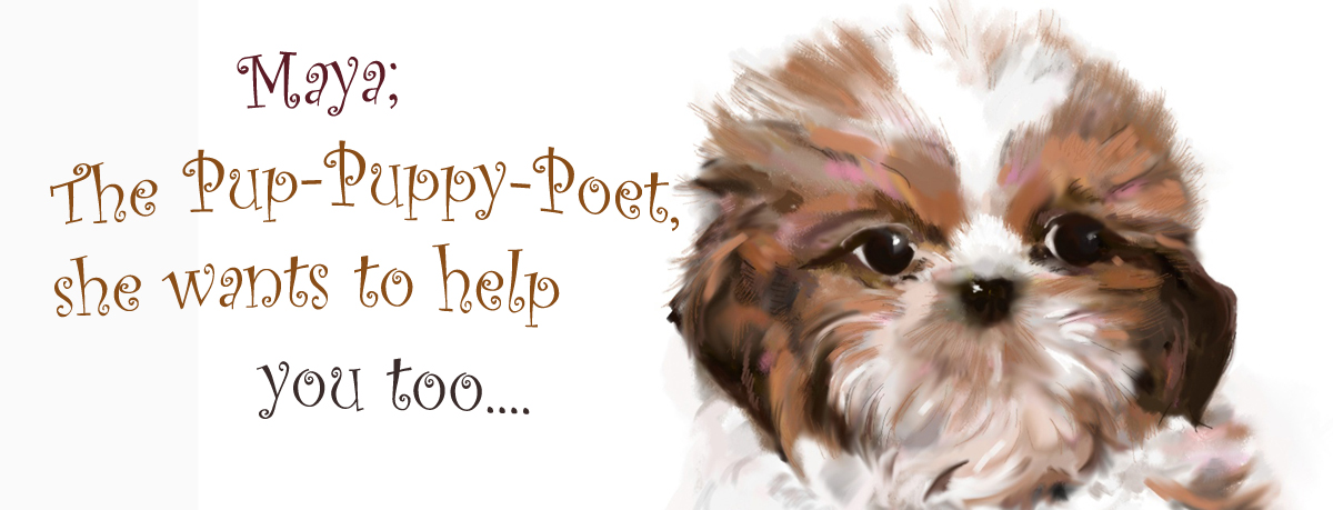 Maya-the-puppuppy-poet