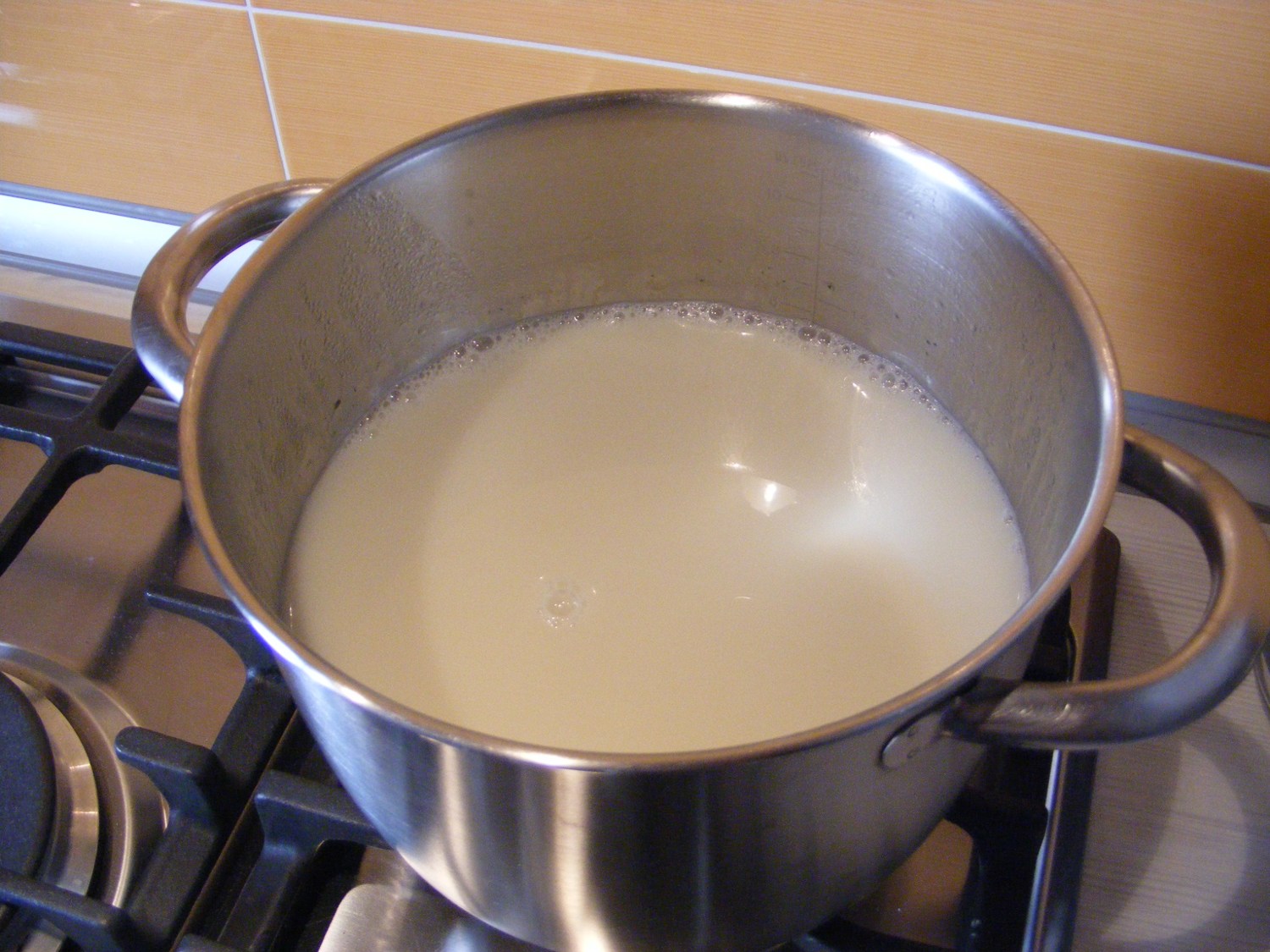 SemplicEcologico: Togliere il sapore di fagiolo al latte di soia fatto in  casa