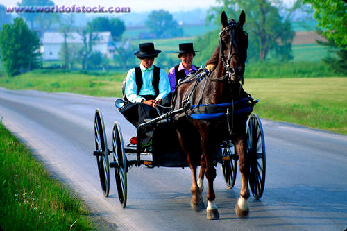 Amish Birthday