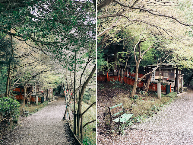 Arashiyama Bamboo Forest Japan