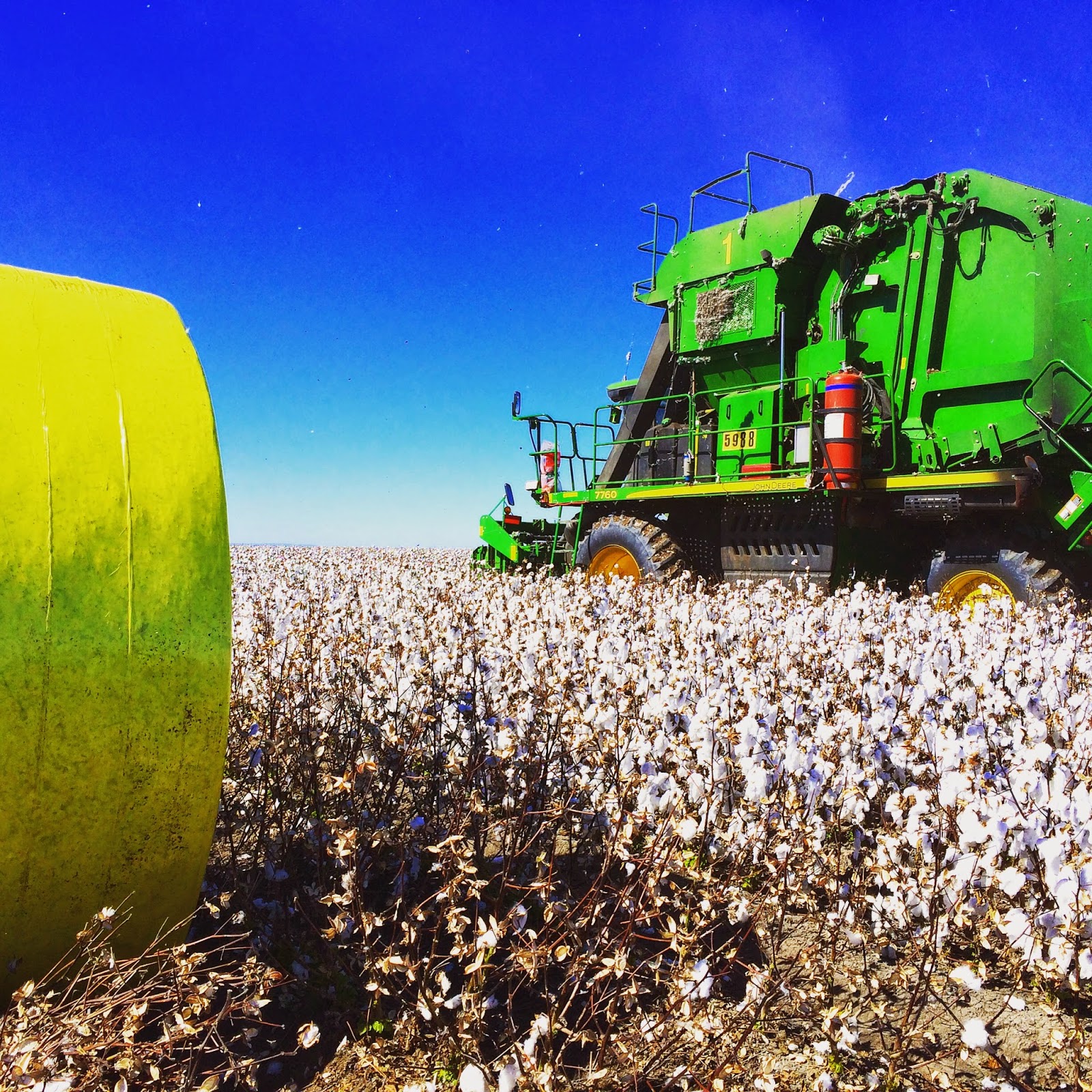 The Darnell Collection 300 Years of Stunning Fashion, Charlotte Smith