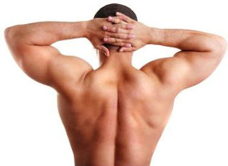 ejercicios para la espalda - ejercicios para fortalecer la espalda entrenar la espalda fuerte - rutinas de ejercicios para la espalda - entrenar la espalda, desarrollar músculos en la espalda, cómo quitar el dolor de espalda, me duele la espalda que hago