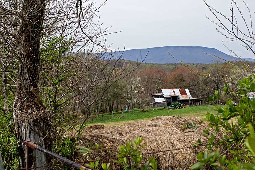 April 2011 Photography In Place