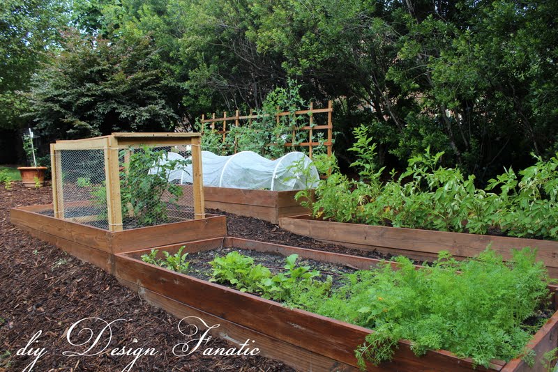 raised beds, raised beds on a slope, vegetable garden, building project