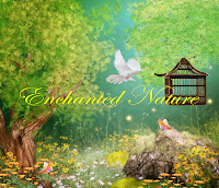 Enchanted Nature Enchanted Nature digital fantasy backgrounds