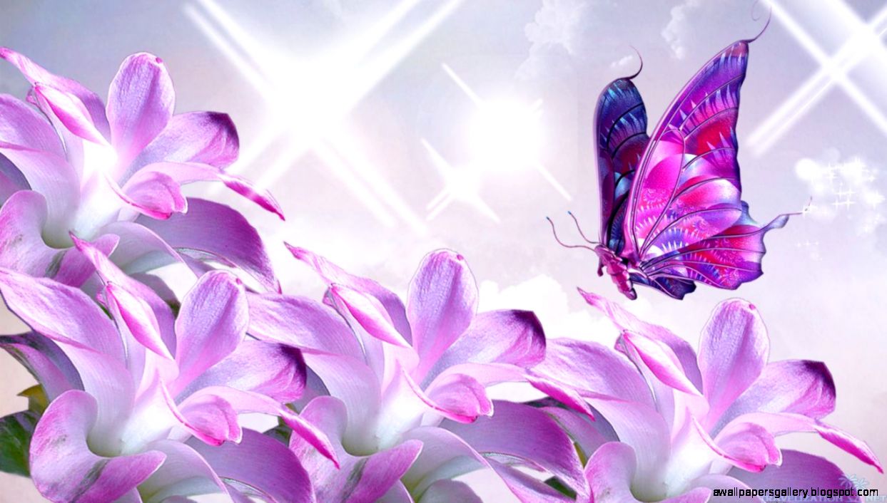 Live Beautiful Flower Wallpapers KOF59 Beautiful Flower Backgrounds Live Beautiful Flower Wallpapers KOF59 Beautiful Flower Backgrounds