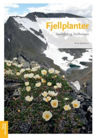 Bok om fjellplantene på Dovrefjell og i Trollheimen