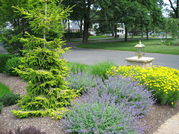 What Plant Where Beautiful Plant Combinations Ramblings From A