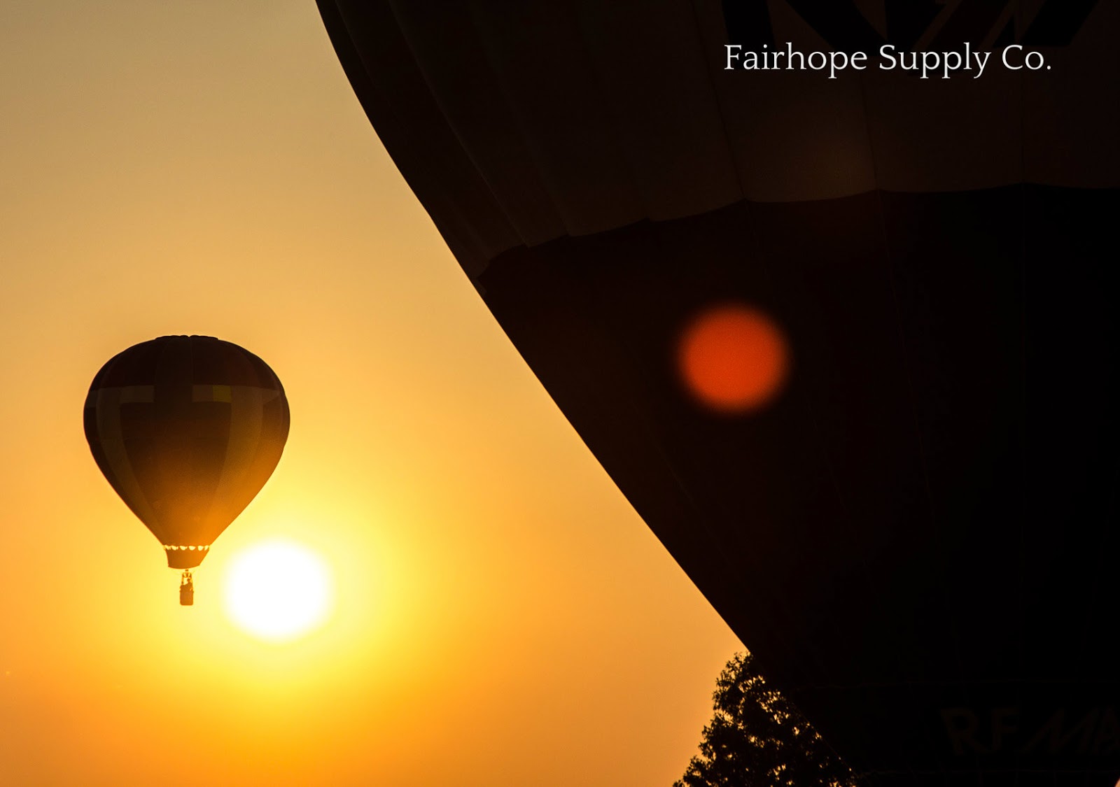 gulf coast hot air balloon festivalfoley alabama