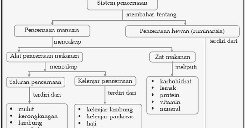 Peta konsep Sistem Pencernaan | Pustaka Pandani