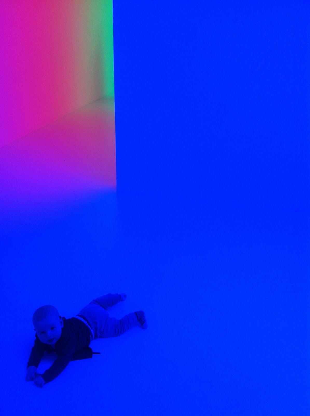 Birdie and Bear Out and about with baby Light show at Hayward