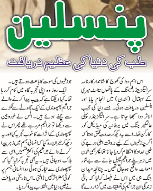 Bagh ki sair short essay 08 image