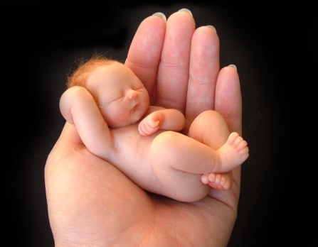 baby and hand