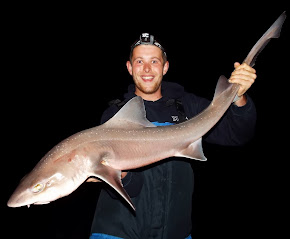 17lb Shore Caught Starry Smooth Hound