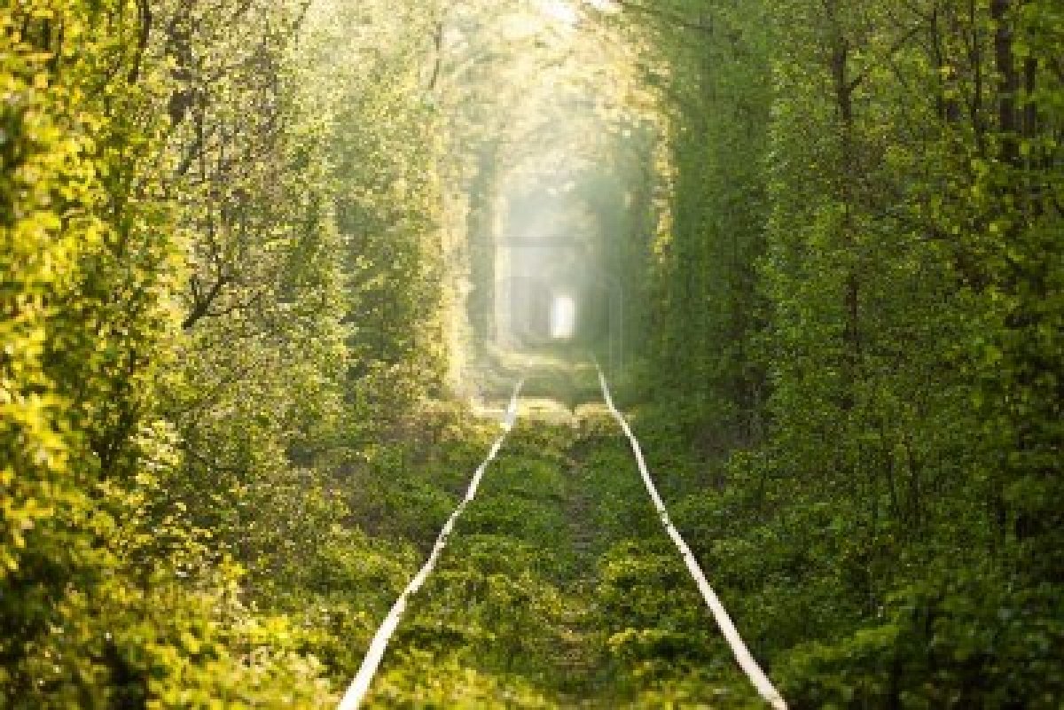 http://3.bp.blogspot.com/-itDF1-SCtKU/UQjfFFt3rMI/AAAAAAAATms/0ZjAmx2UCEw/s1600/15891786-natural-tunnel-of-love-formed-by-trees-in-ukraine-klevan.jpg