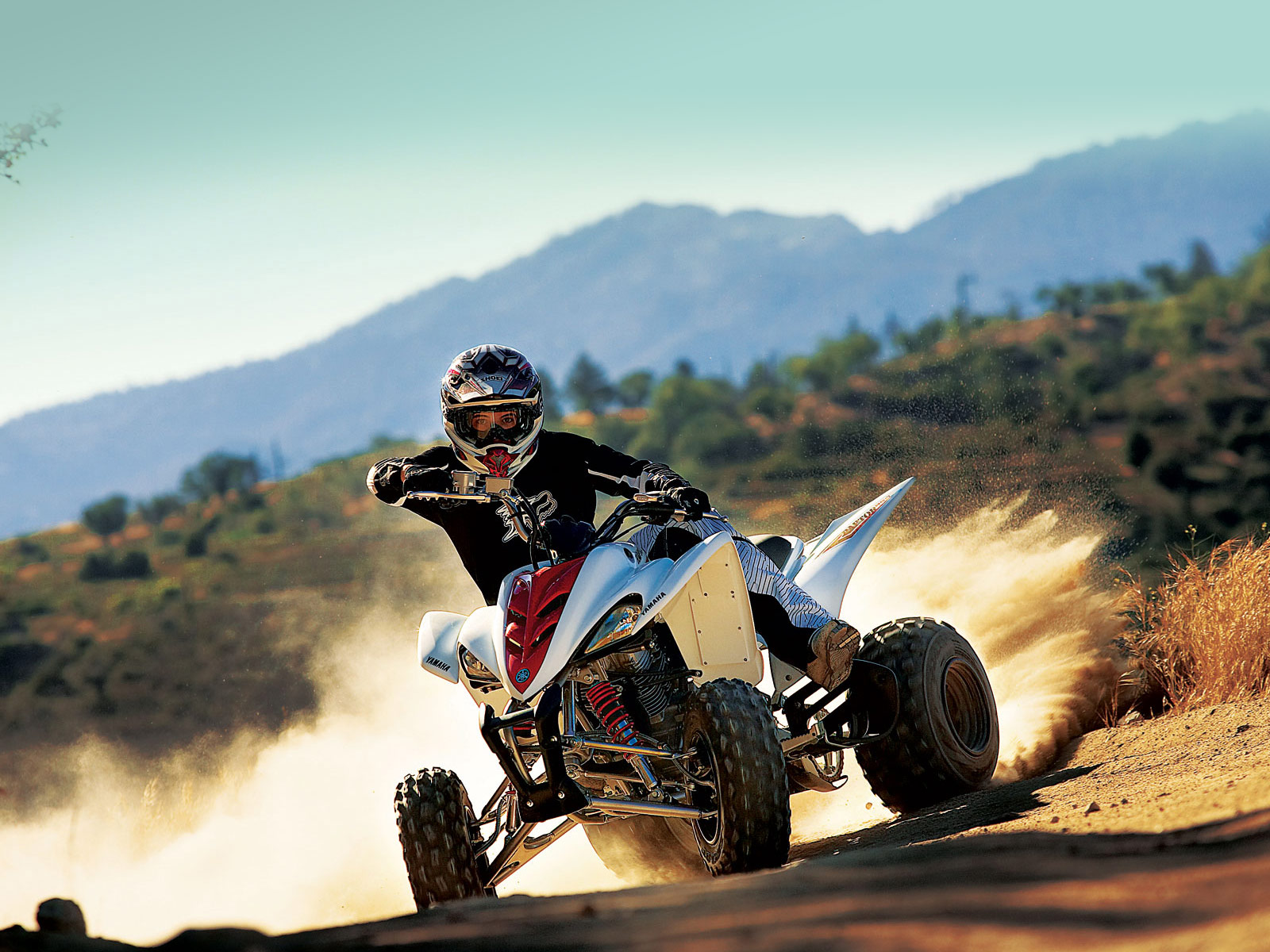 YAMAHA pictures 2010 Raptor 350 atv review and specs