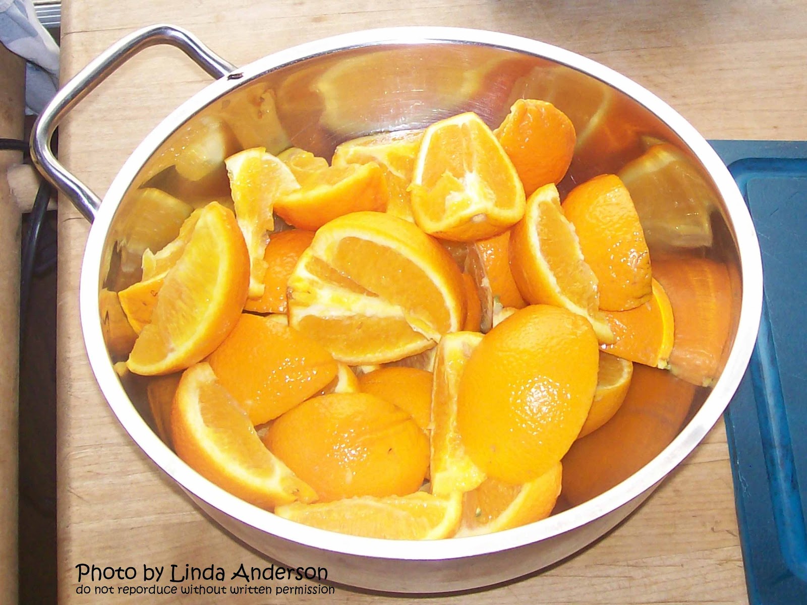Dehydrating Way Beyond Jerky Candied Orange Slices