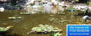 Pond Magician Organic Pond Cleaner