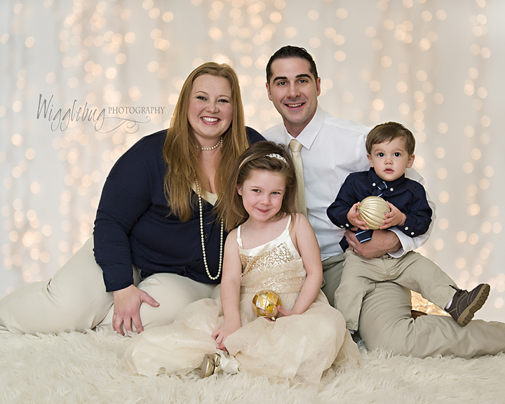 2015 Christmas mini sessions: Holiday Themed Mini Sessions