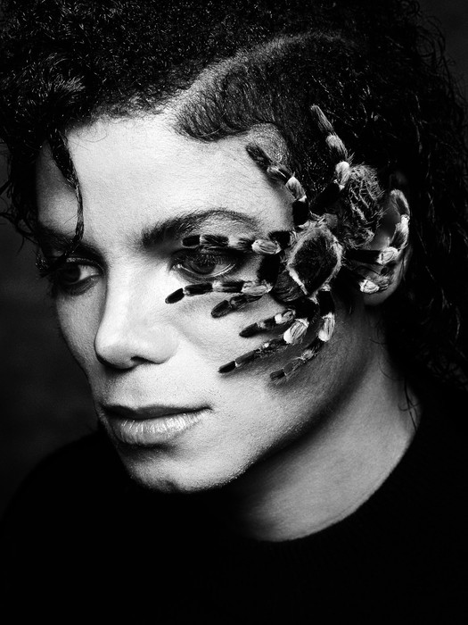 Greg+Gorman+photo+of+Michael+Jackson+%2526+Spider.jpg