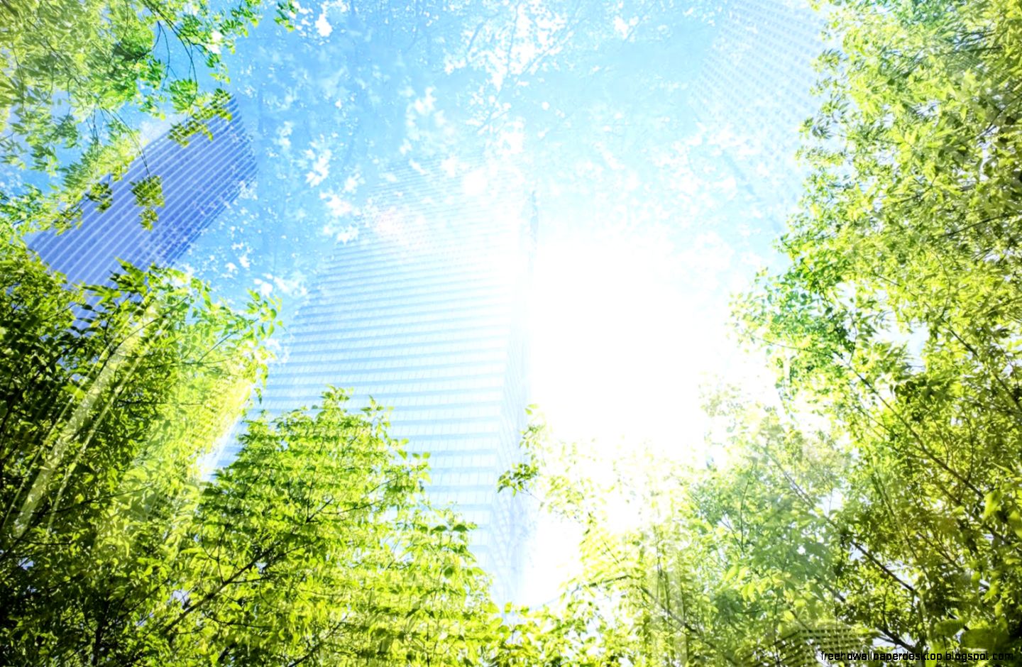 Digital Art Nature Digital Art Nature