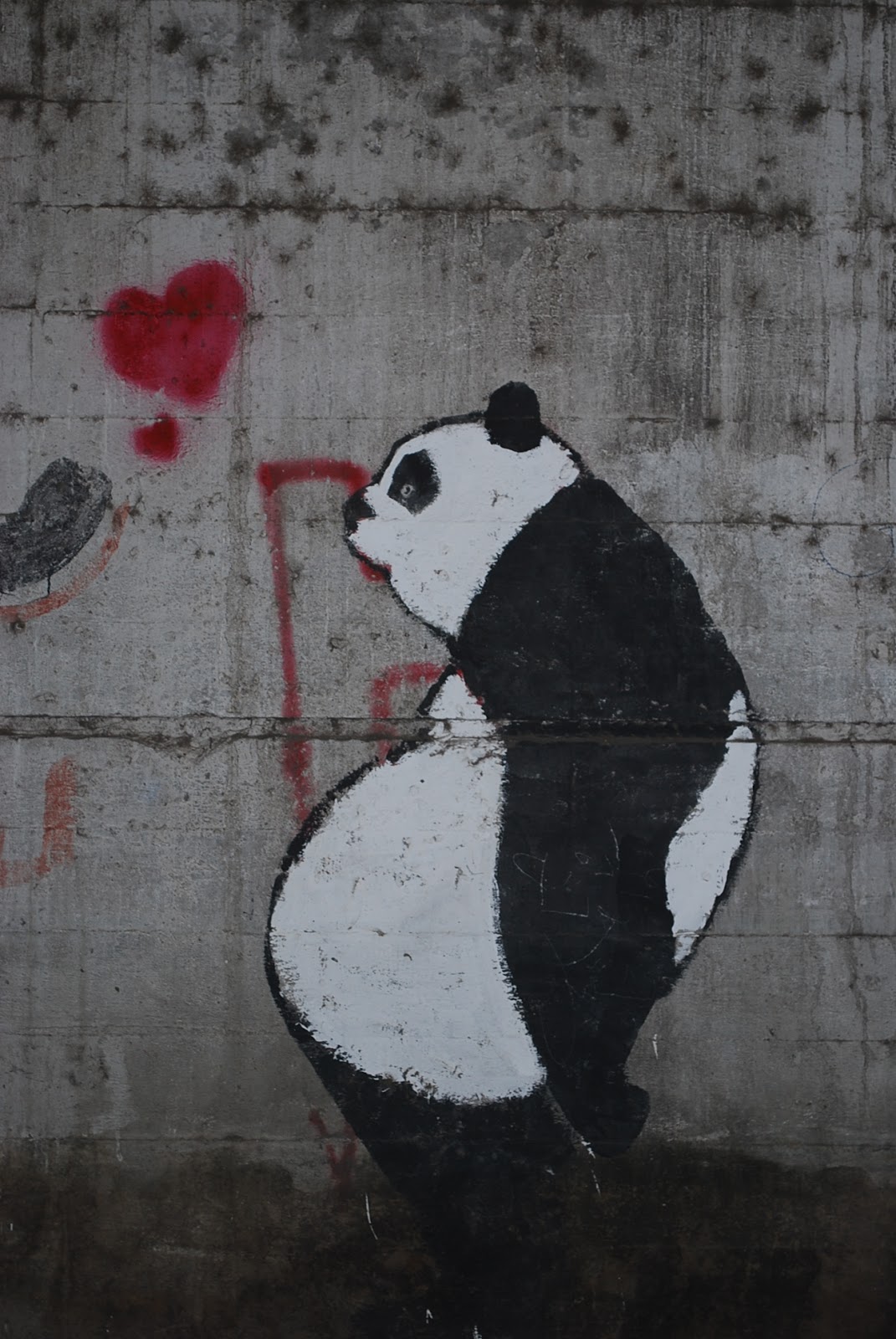 Use My Camera Graffiti 8 A Panda Not To Be Triffled With