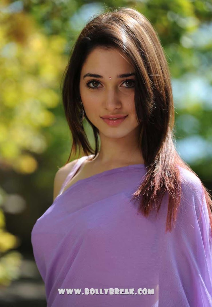 Tamanna Hd Saree Wallpapers - HOT SOUTH MALLU ACTRESS PHOTO - Famous Celebrity Picture 