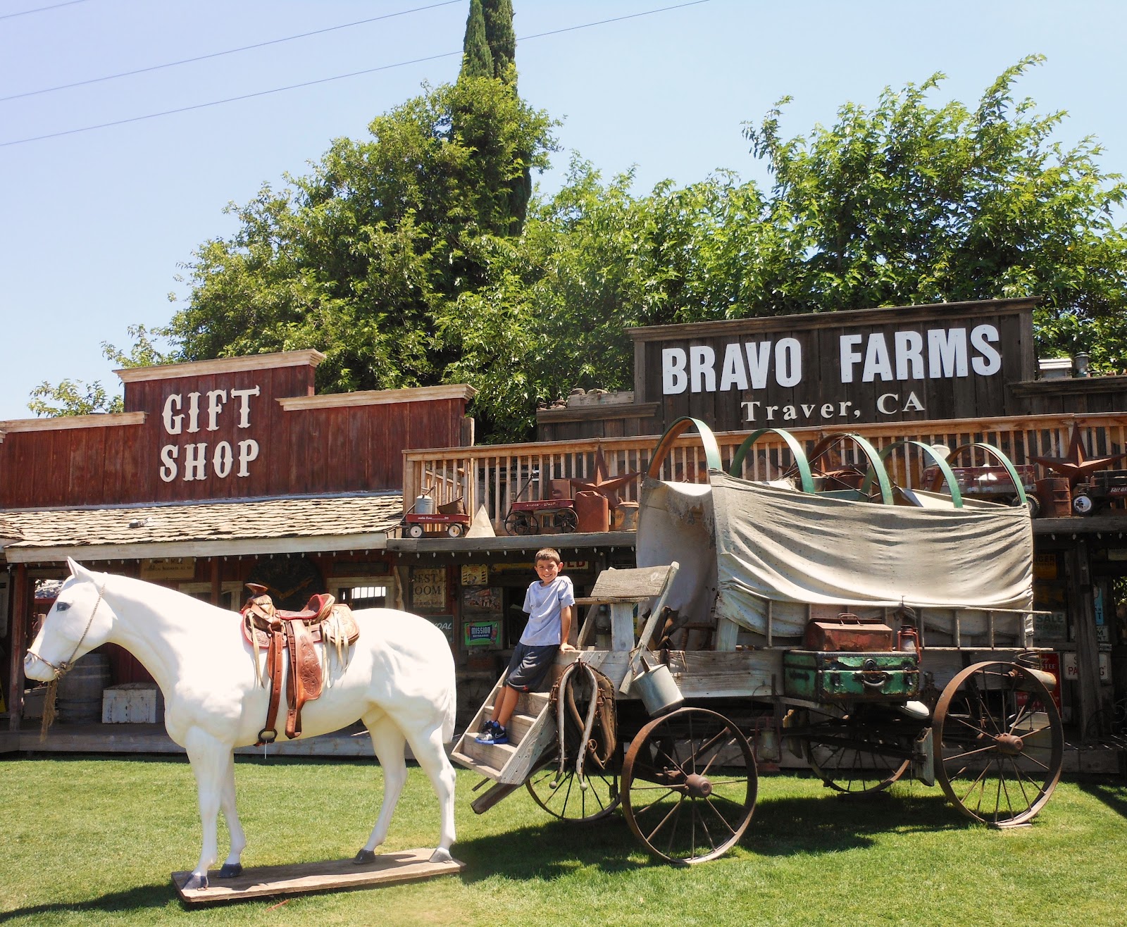 1000 Hikes in 1000 Days Day 575 Fulton Mall in Freson Bravo Farms