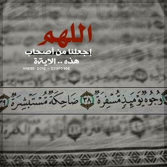 نقره لتكبير أو تصغير الصورة ونقرتين لعرض الصورة في صفحة مستقلة بحجمها الطبيعي