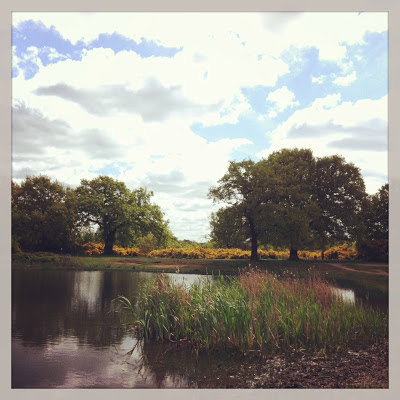 Hollow Ponds Leyton & Leytonstone