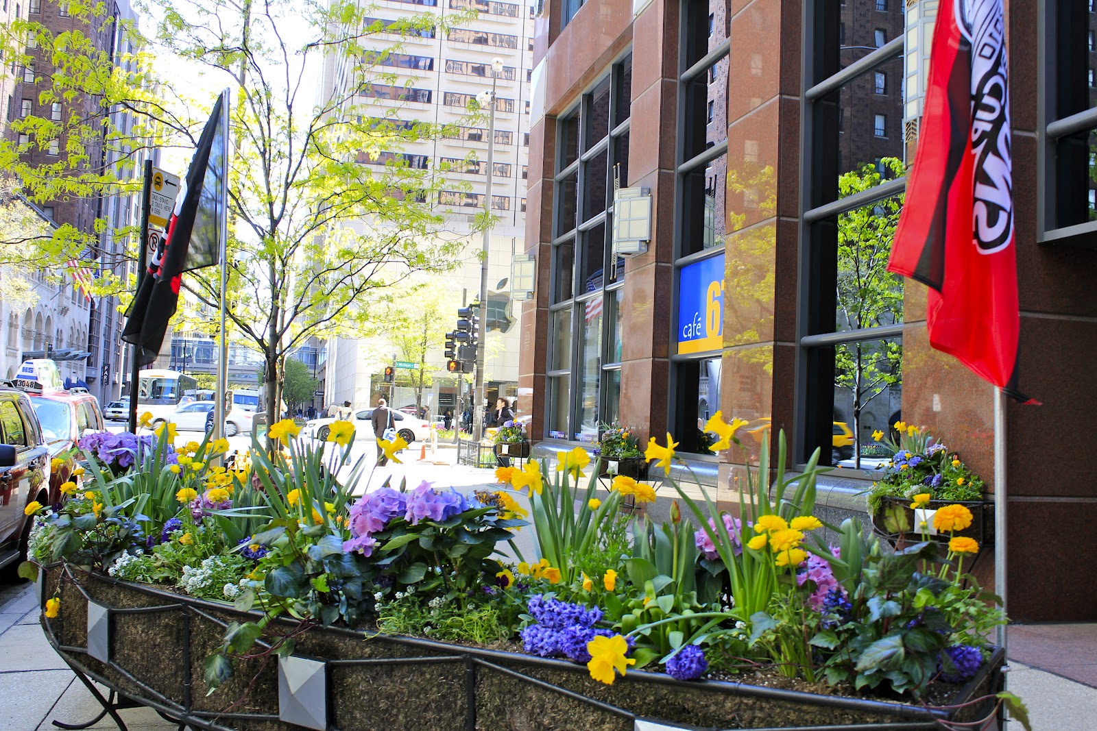 figs flowers food STREET FLOWERS OF CHICAGO