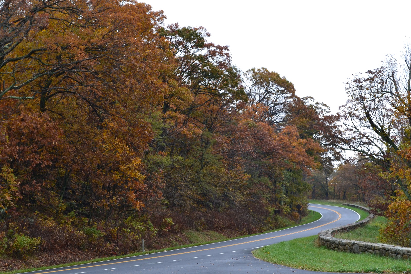 Nanda & Nathan The Travellers Fall Foliage at Shenandoah National Park