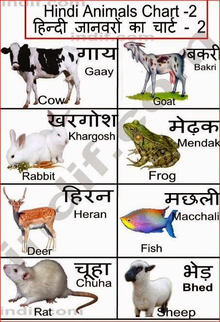 godgift: Animal name in hindi and english with photo