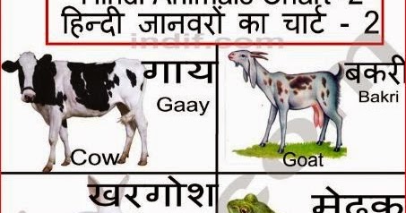 godgift: Animal name in hindi and english with photo