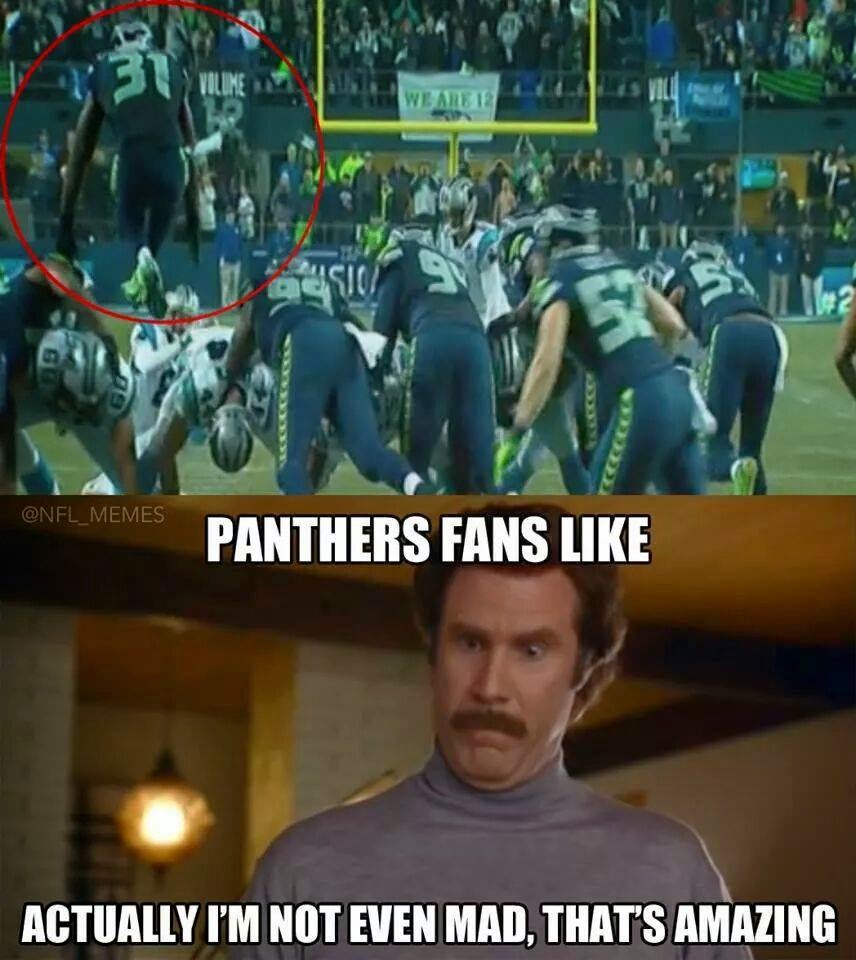 Panthers Fans like actually I'm not even mad, that's amazing